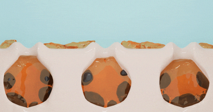 oc_Regenon-Fill-LHA_cn_02_gif.gif